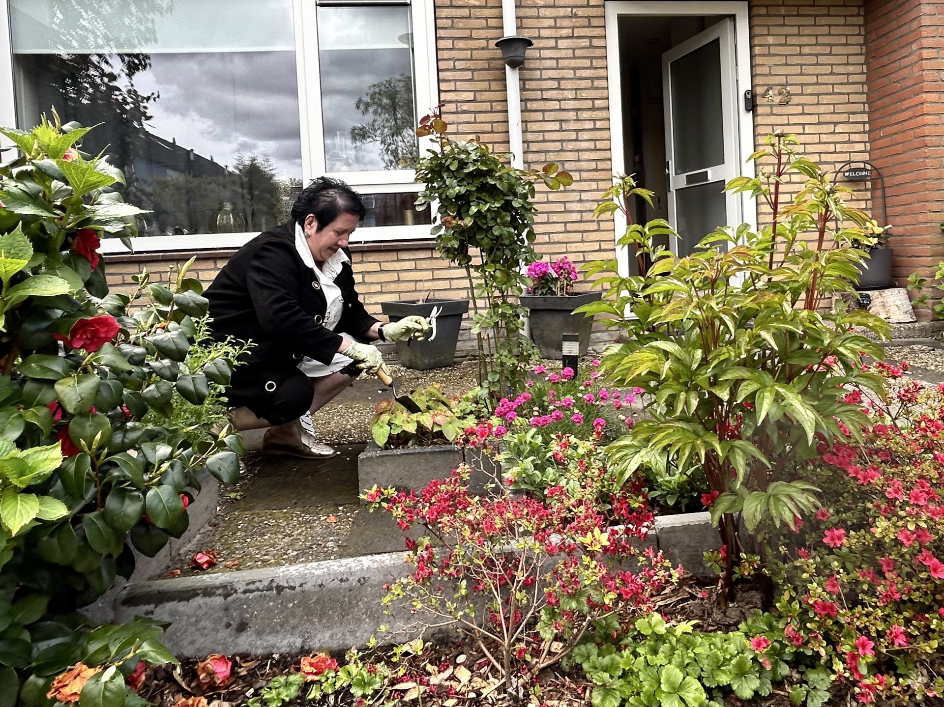 Voortuin na de vergroening